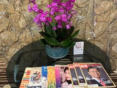 -紫东阁酒楼·中餐厅(东方广场假日酒店)