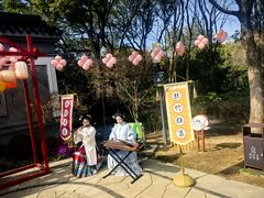 -香雪海