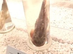 -青藏高原自然博物馆