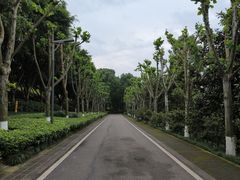 -重庆园博园