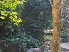 -广州白江湖森林公园