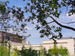 -昆山城市生态森林公园