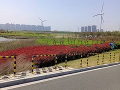 -启东黄金海滩景区