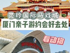 -灵玲国际马戏城