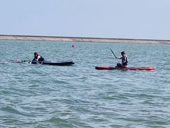 -碧海金沙