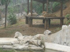 -石家庄市动物园