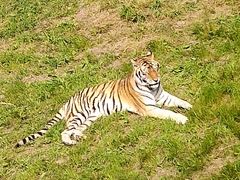 -宿豫区运河湾森林动物园