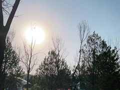 -东郊湿地公园