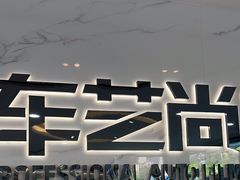 -车艺尚上海龙膜隐形车衣汽车贴膜旗舰店