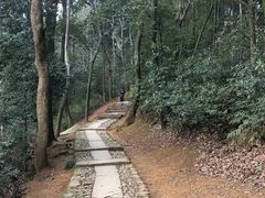 -西湖风景区十里琅珰-五云山