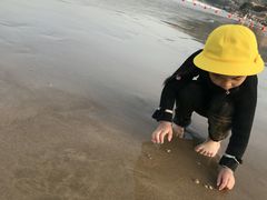 -渔寮风景区