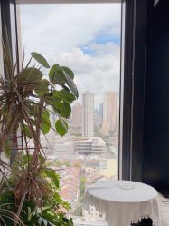 -BELLAREAL新美社