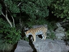 -宁波野生动物园