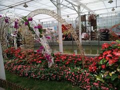 -上海鲜花港
