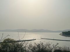 -上海市保健医疗中心