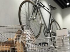 -常识咖啡common sense(春熙路店)