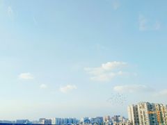 -成都濑川外国语学校