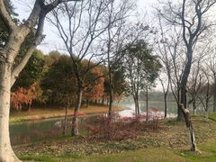 -尚贤河湿地