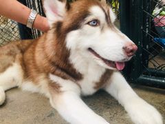 -TrueLove @ Neverland (Husky Cafe)