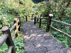 -海口火山口国家地质公园