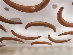 -食之六七·面(朝阳大悦城店)