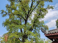 -金堂县云顶石城风景区