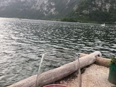 -布劳伽斯特豪夫哈尔施塔特宾馆