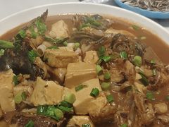 -全乐鱼馆·淳牌有机鱼直营店