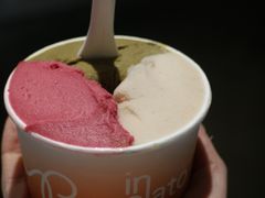 荔枝树莓洛神花-Dip in Gelato(富民路店)