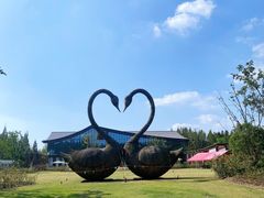 -东平国家森林公园