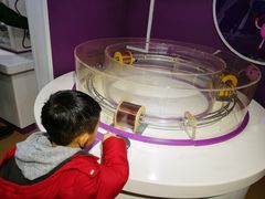 -陕西科学技术馆