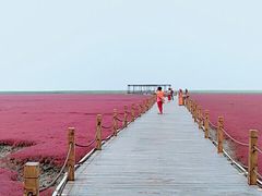 -红海滩国家风景廊道