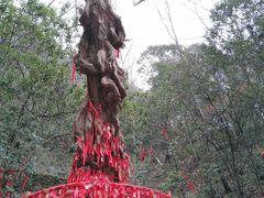 -燕子河大峡谷天坑仙境