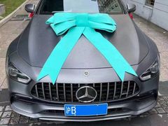 -上海星瀚奔驰4S店(红柳路店)