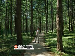 -塞罕坝国家级自然保护区