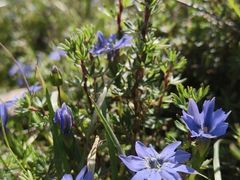 -西宁市人民公园(城西区)