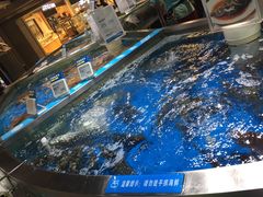 -盒马鲜生(杭州运河上街店)