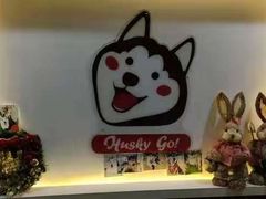 -Husky Go! 哈士奇体验馆·宠物咖啡厅狗咖