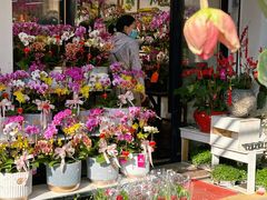 -溪岸路花鸟市场