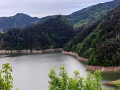 -王顺山国家森林公园