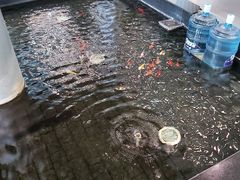 -天津波士信达奔驰4S店(卫津南路店)