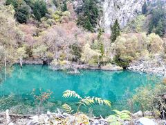 -叠溪松坪沟景区