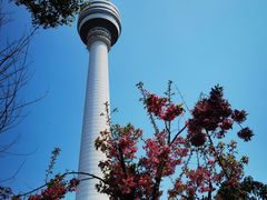 -龟山风景区-龟山电视塔