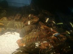-RED LOBSTER(中城西店)
