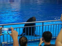 景点-多彩贵州城极地海洋世界