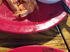 -好伦哥(温都水城店)