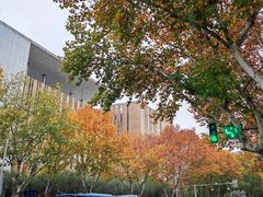 -江苏省美术馆(长江路新馆)