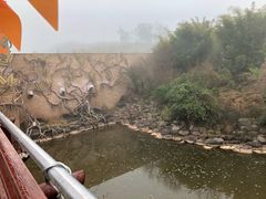 -世界恐龙谷景区