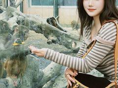 -水上乐园·欢乐世界