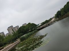 -新江湾城公园